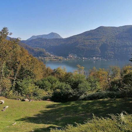 La Finestra Sul Lago Brusimpiano Exterior foto