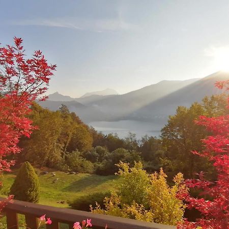 La Finestra Sul Lago Brusimpiano Exterior foto