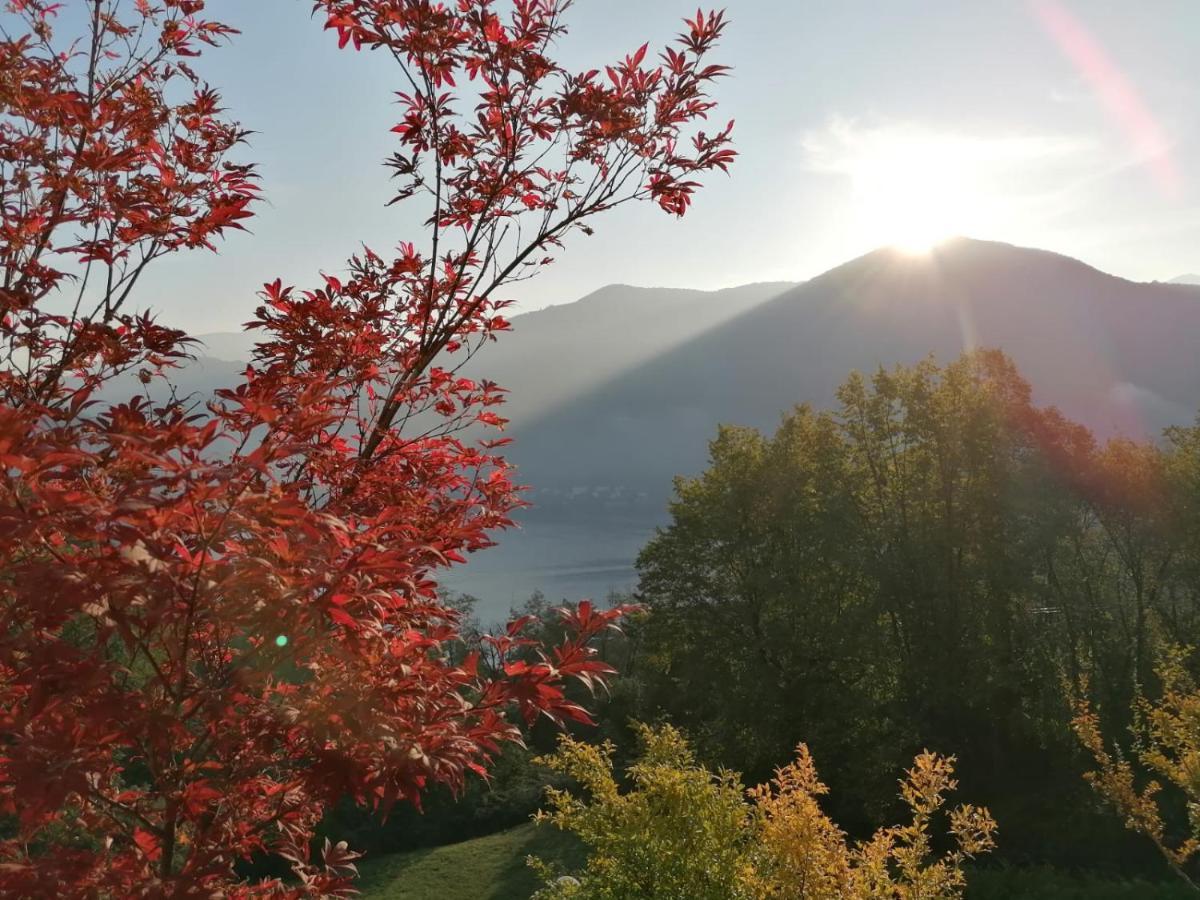 La Finestra Sul Lago Brusimpiano Exterior foto