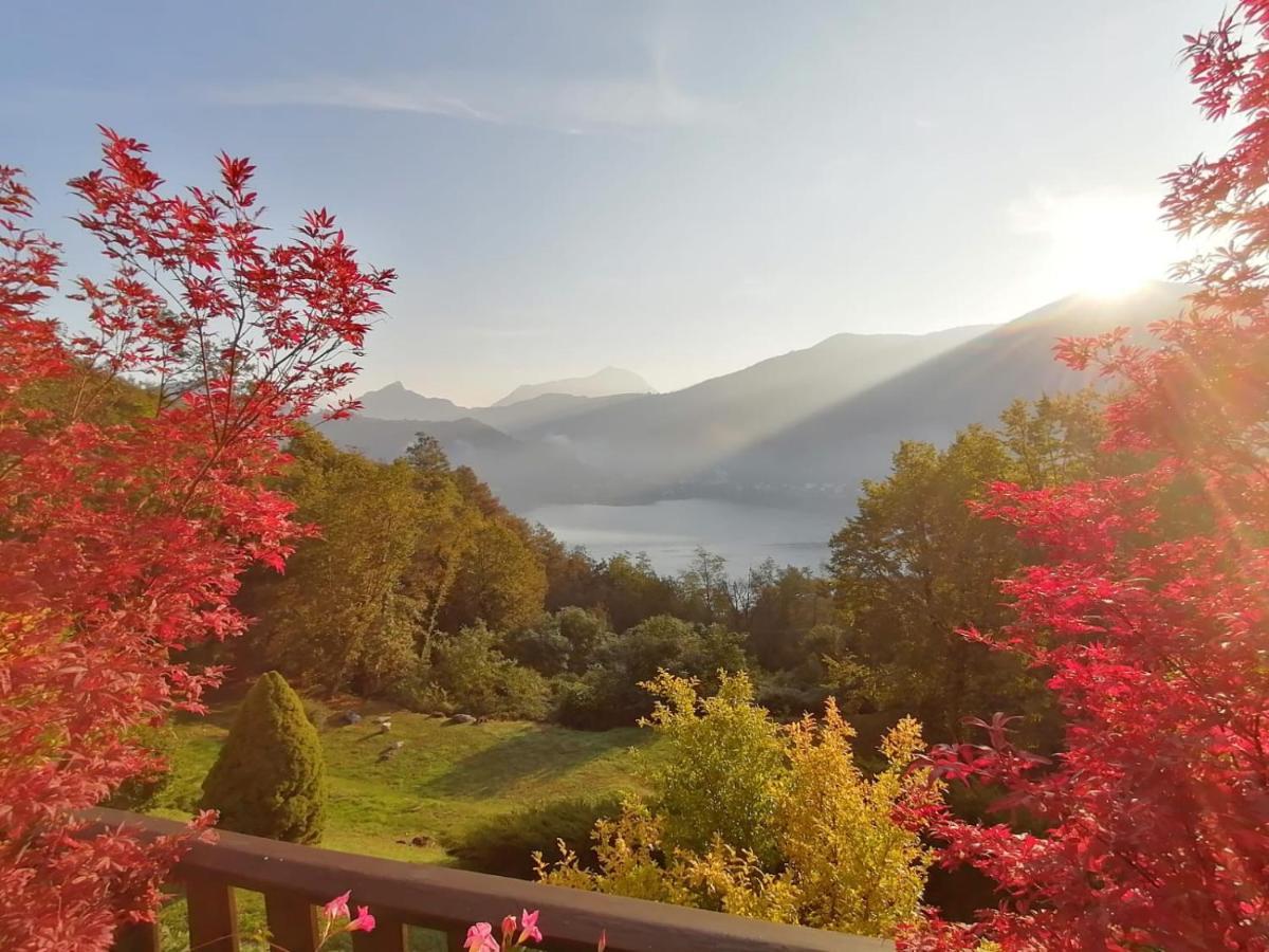 La Finestra Sul Lago Brusimpiano Exterior foto