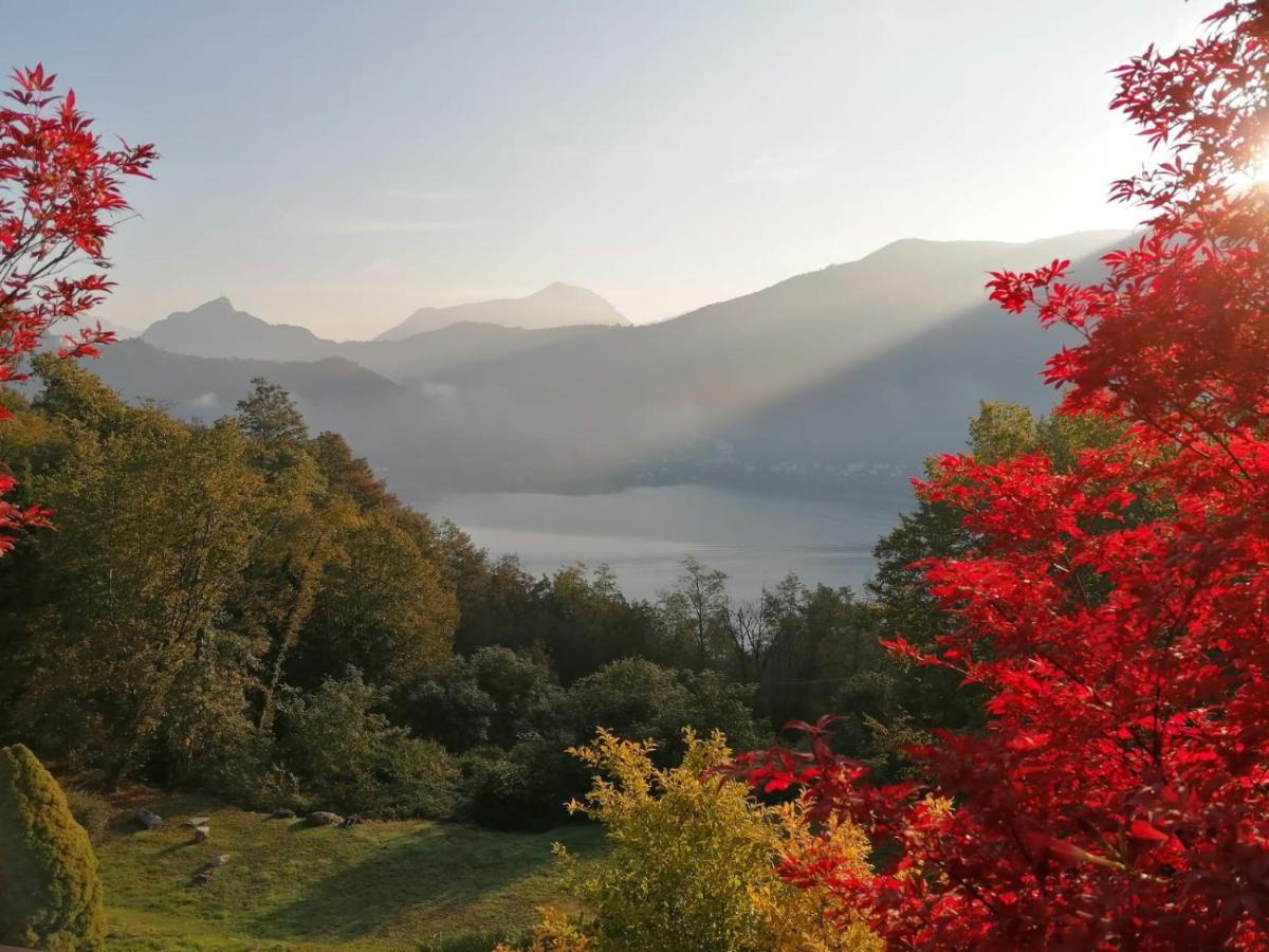 La Finestra Sul Lago Brusimpiano Exterior foto