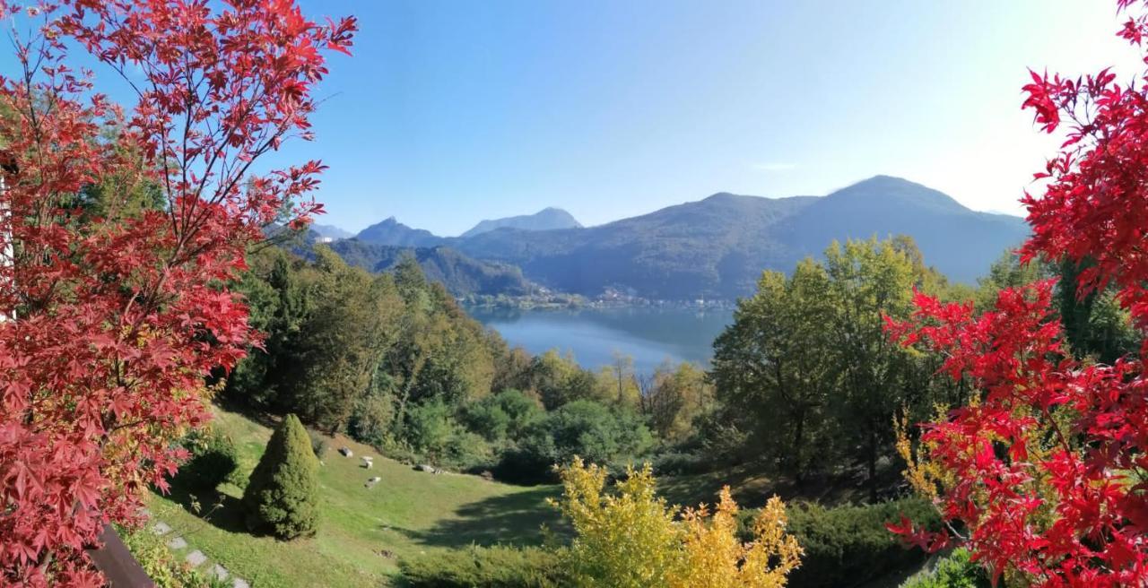 La Finestra Sul Lago Brusimpiano Exterior foto