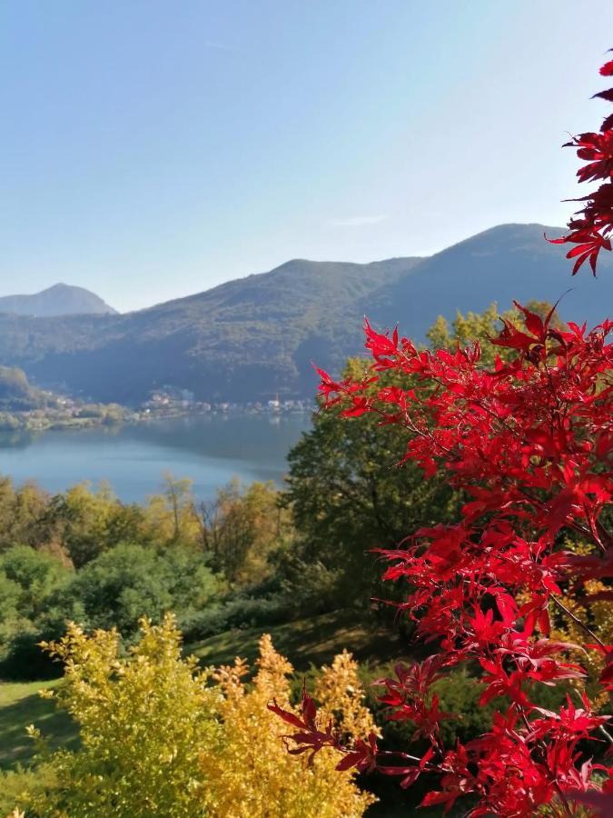 La Finestra Sul Lago Brusimpiano Exterior foto