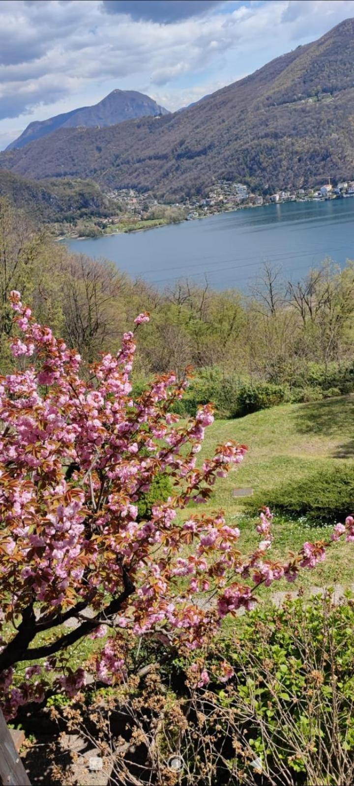 La Finestra Sul Lago Brusimpiano Exterior foto